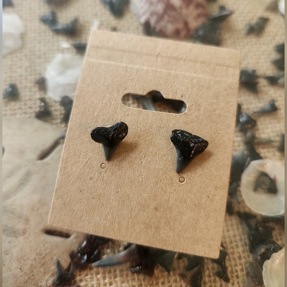 Handmade Black Shark Tooth Stud Earrings - Picture 1 of 3